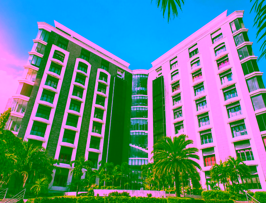 BANANA ISLAND 1